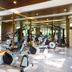 Gimnasio