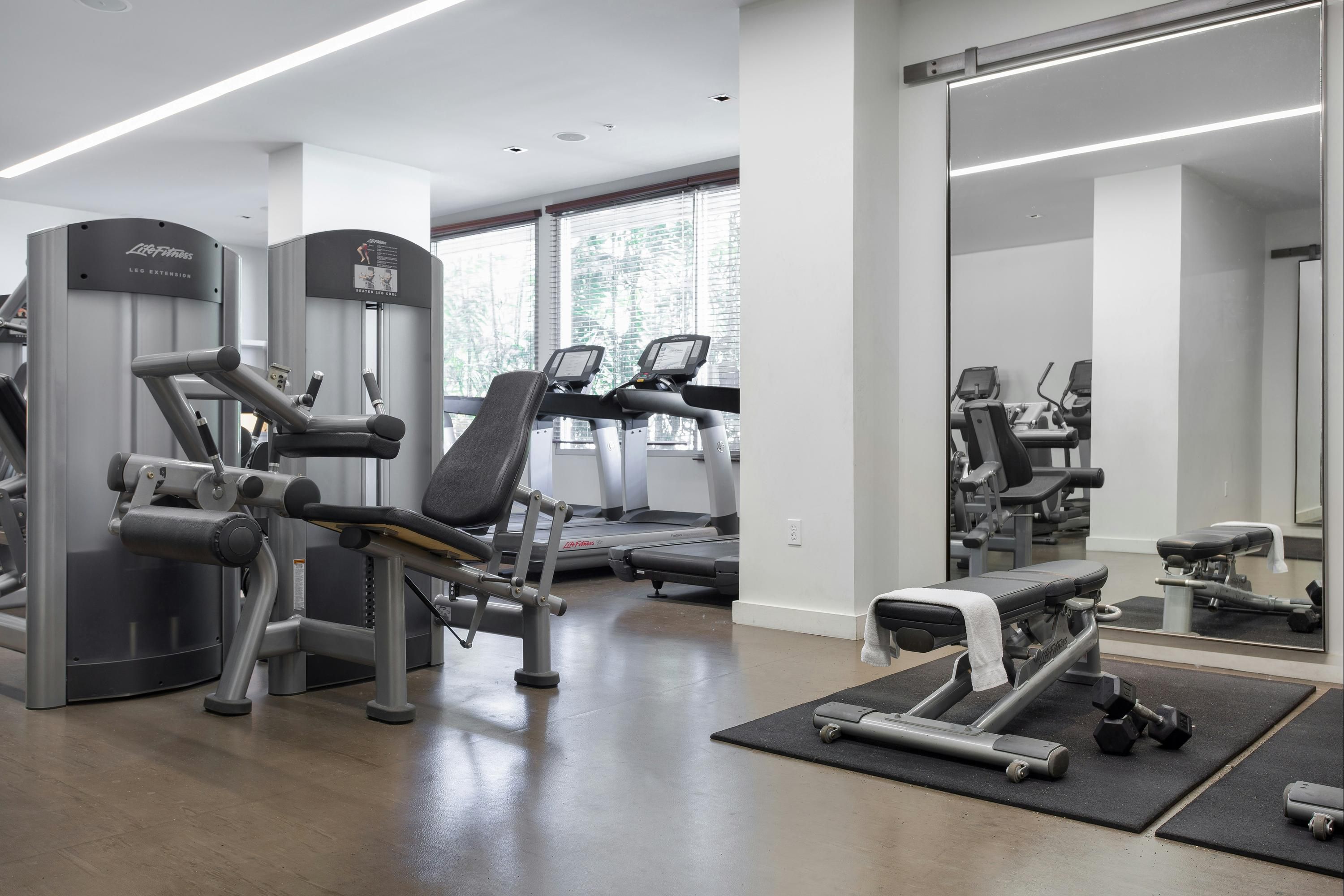 Gimnasio