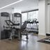 Gimnasio