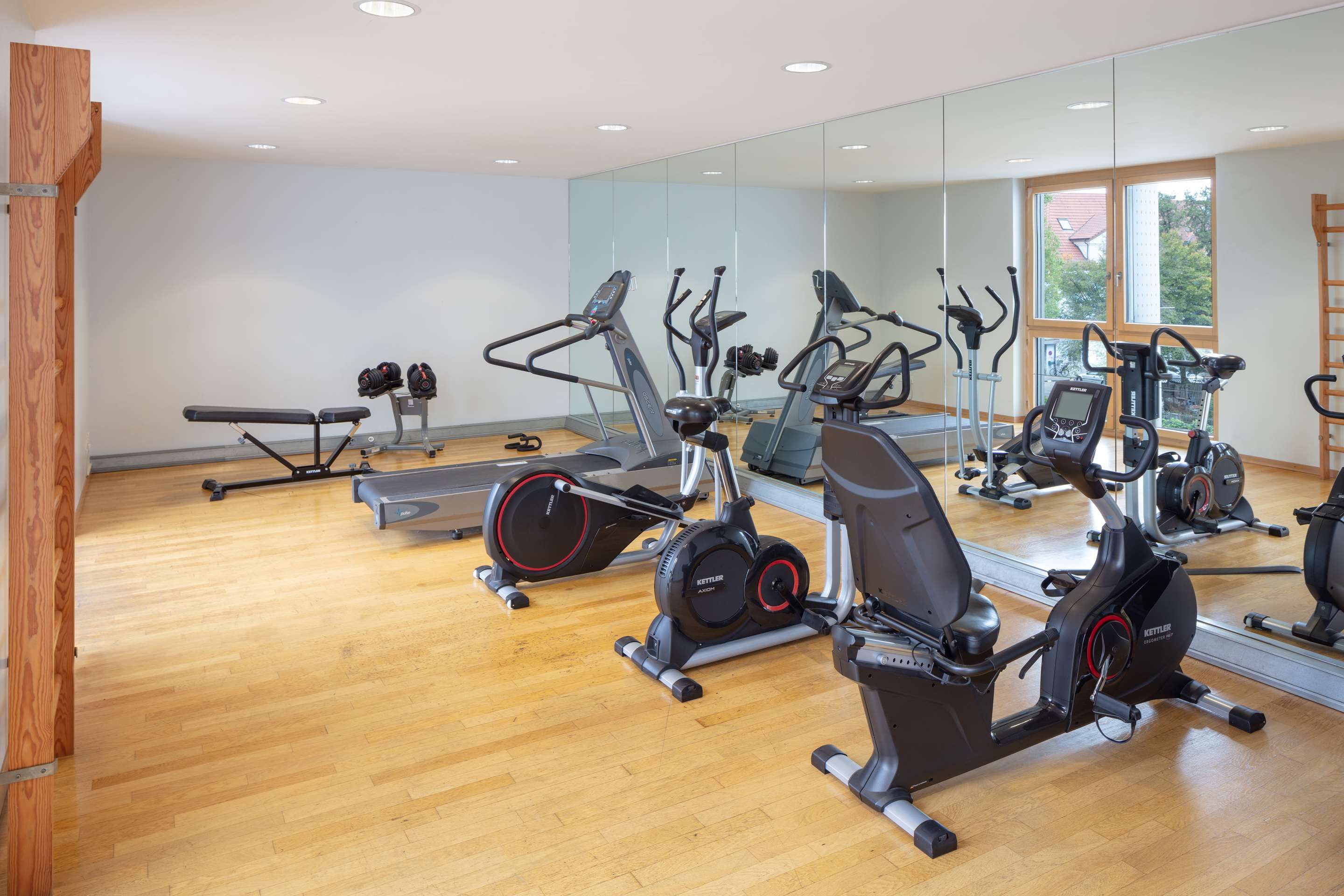 Gimnasio