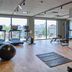 Gimnasio
