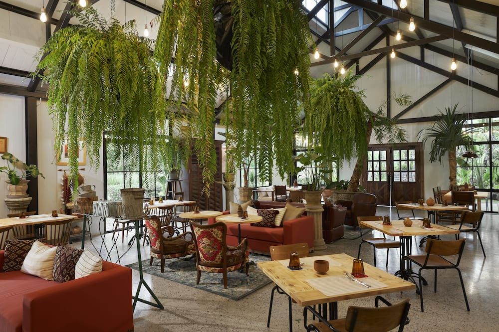 Restaurante