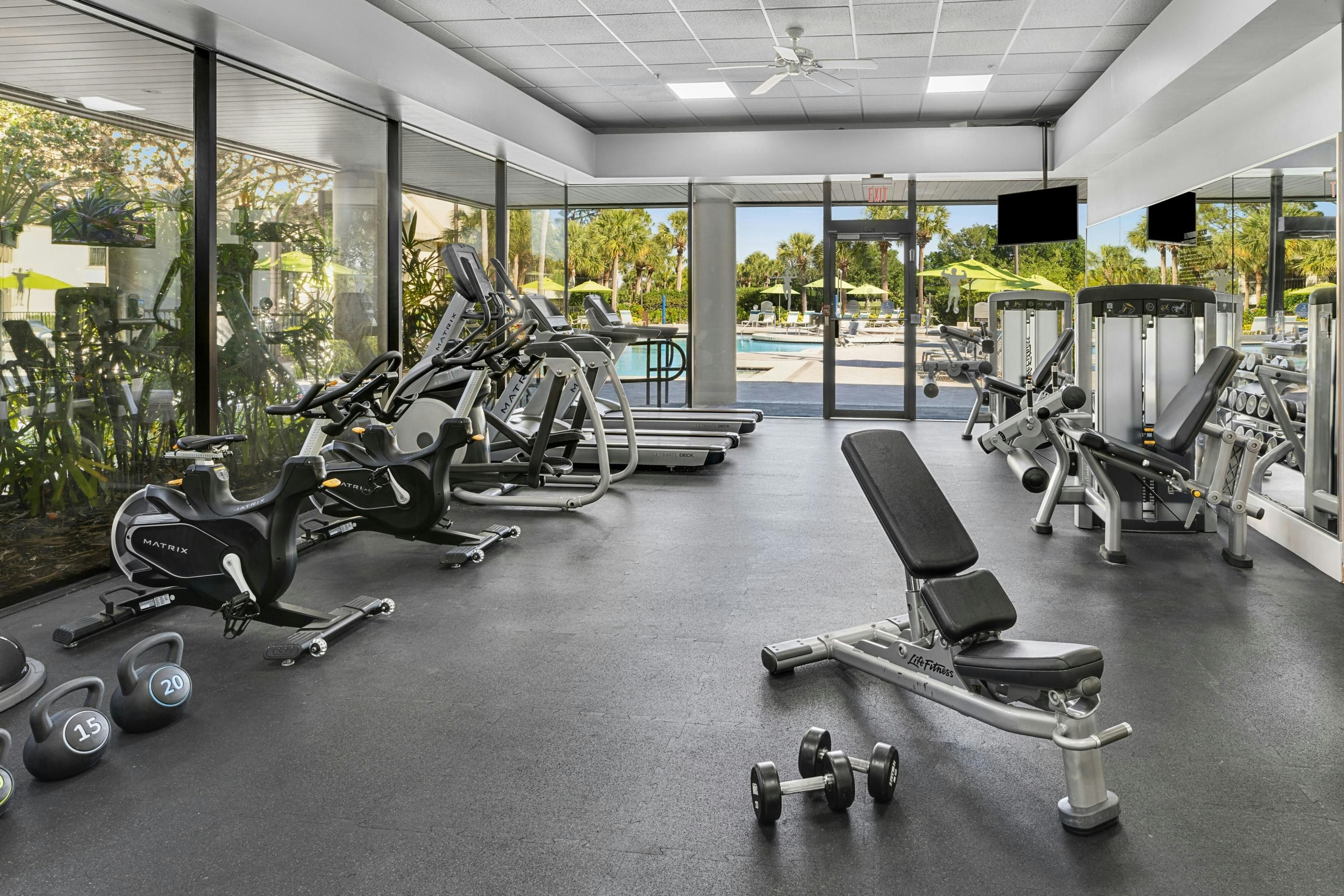 Gimnasio