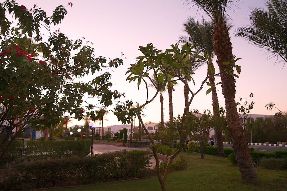 Vista del exterior