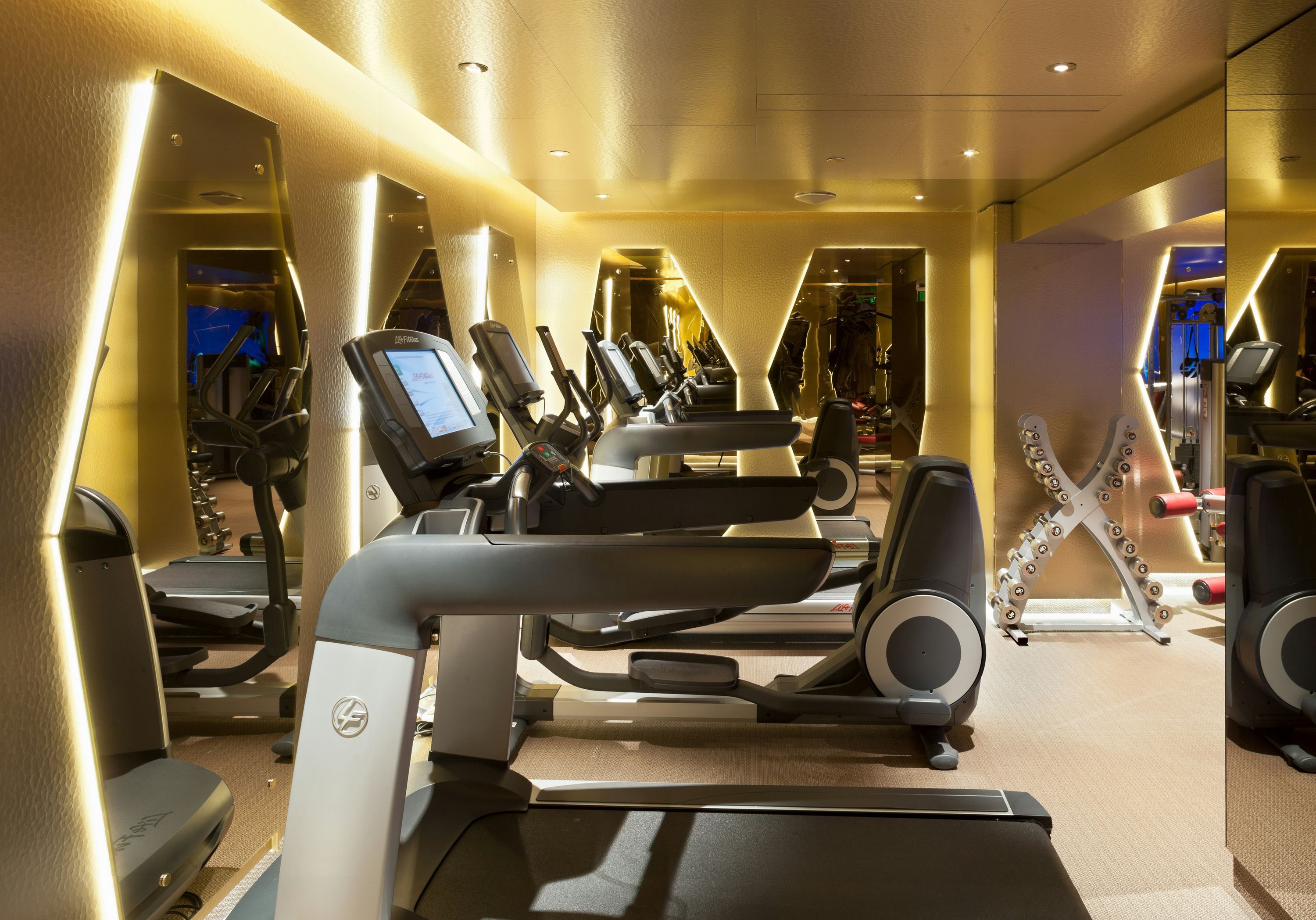 Gimnasio
