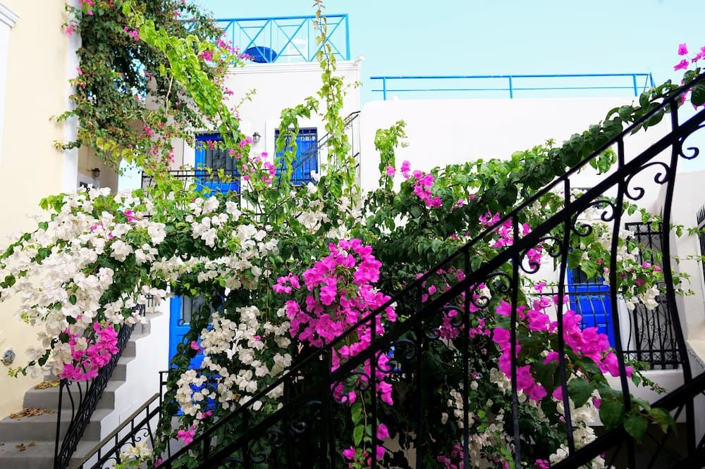 Vista del exterior