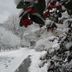 Vista del exterior