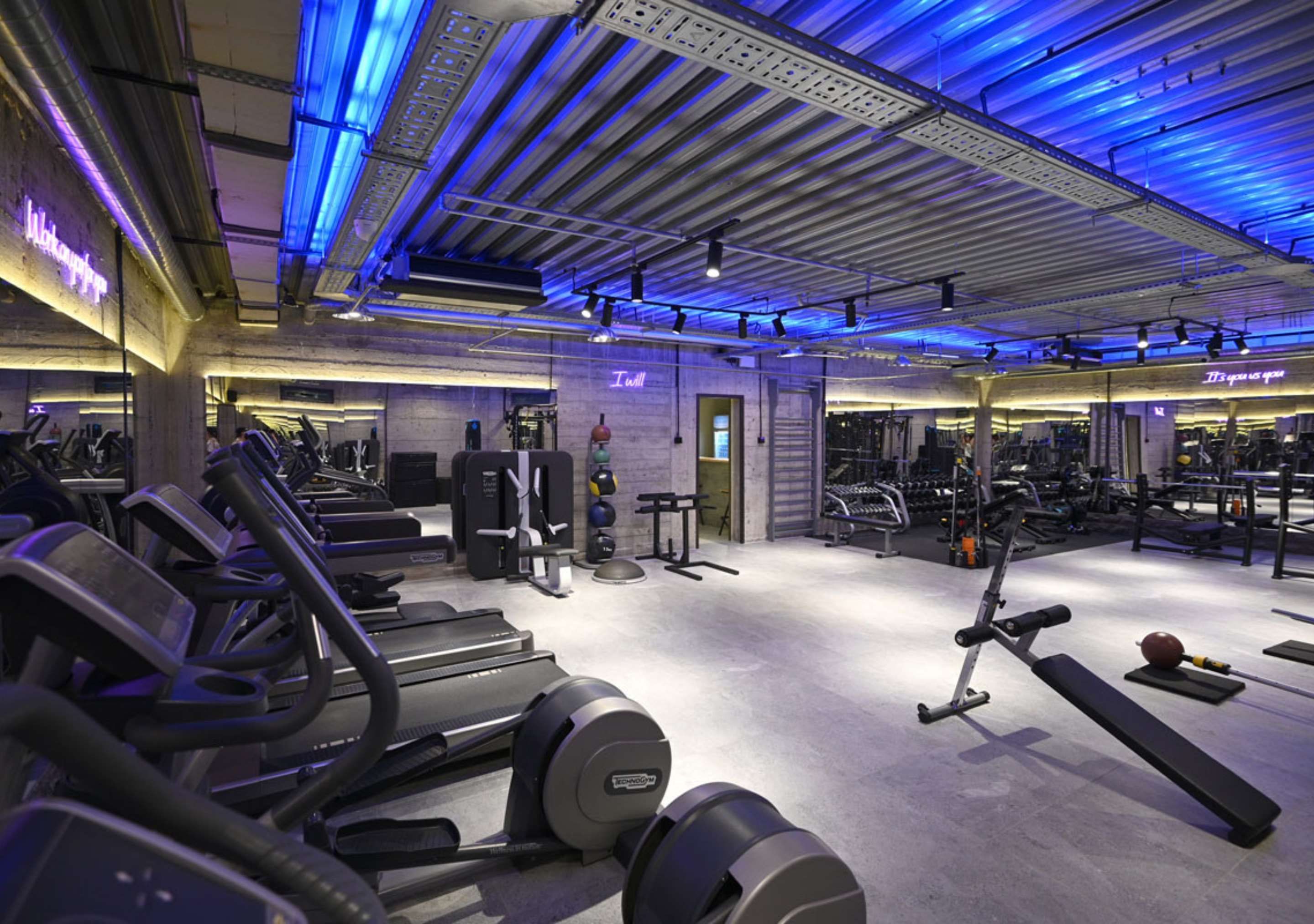 Gimnasio