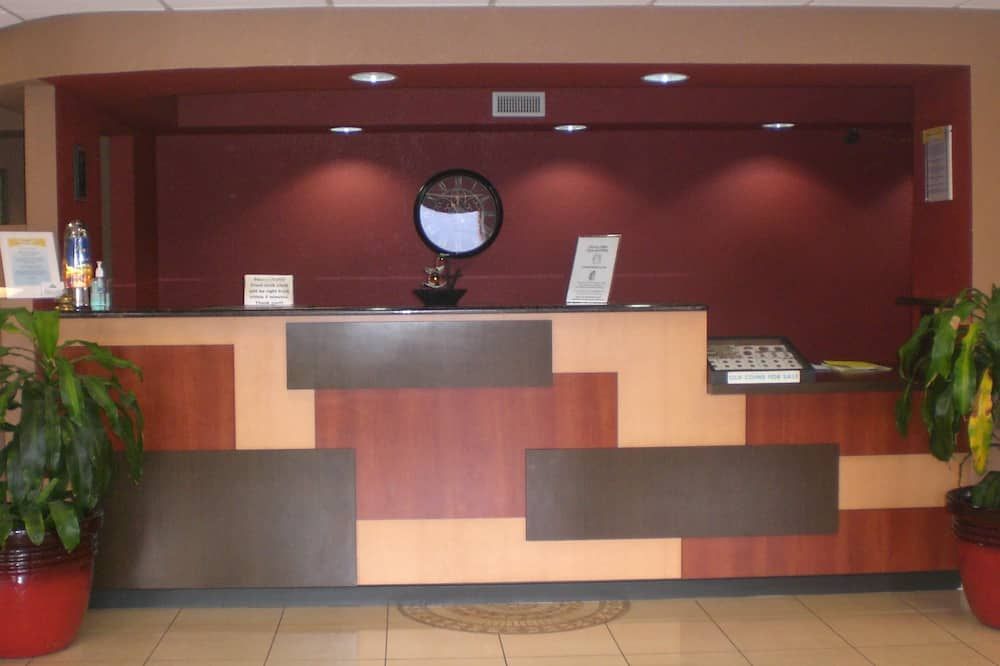 Recepción
