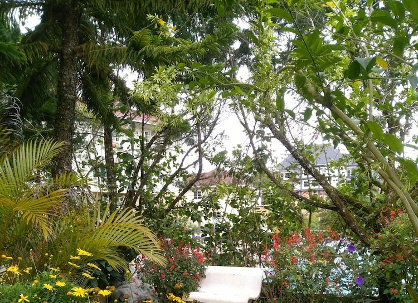 Vista del exterior Foto