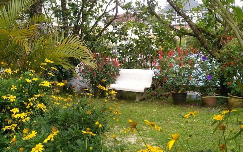 Vista del exterior Foto