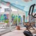 Gimnasio