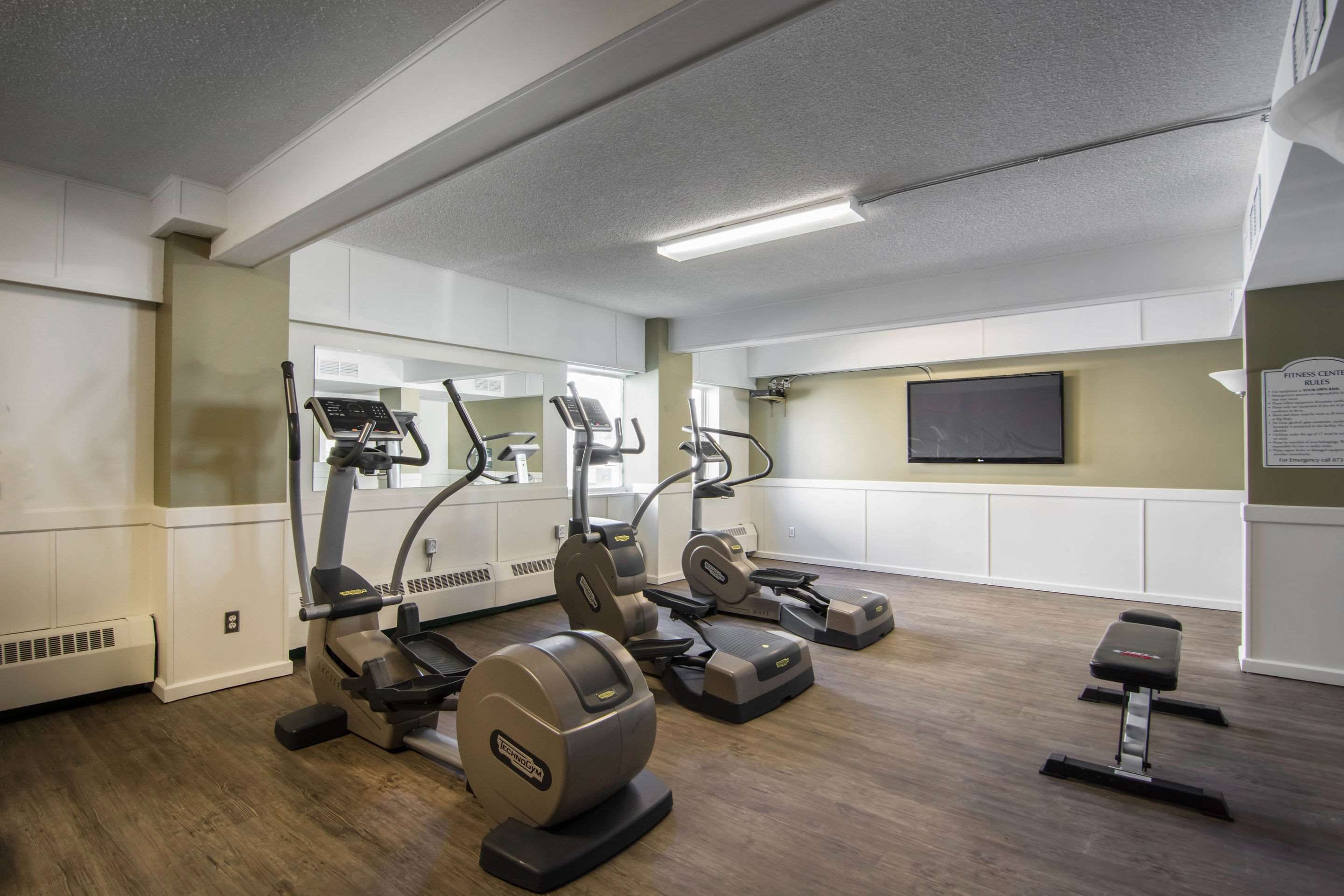 Gimnasio