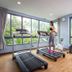 Gimnasio
