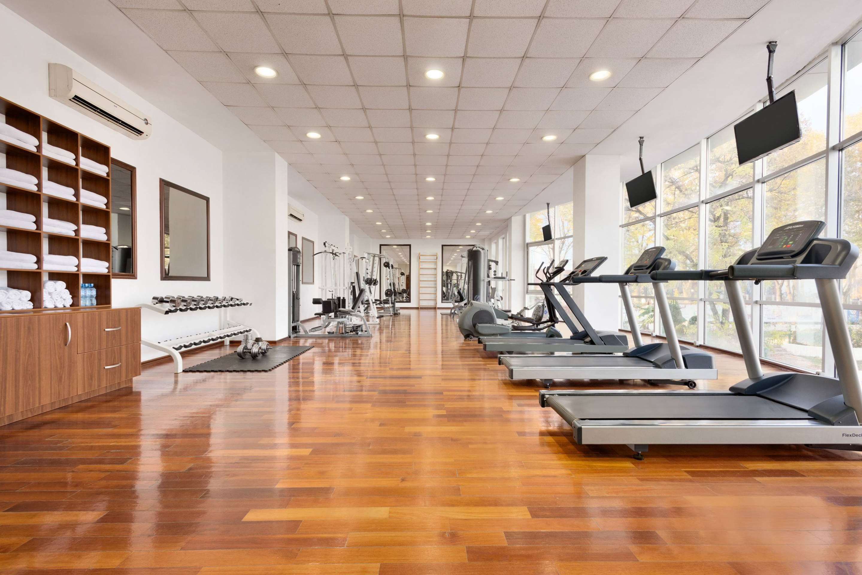 Gimnasio