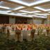 Sala de banquetes
