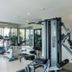 Gimnasio