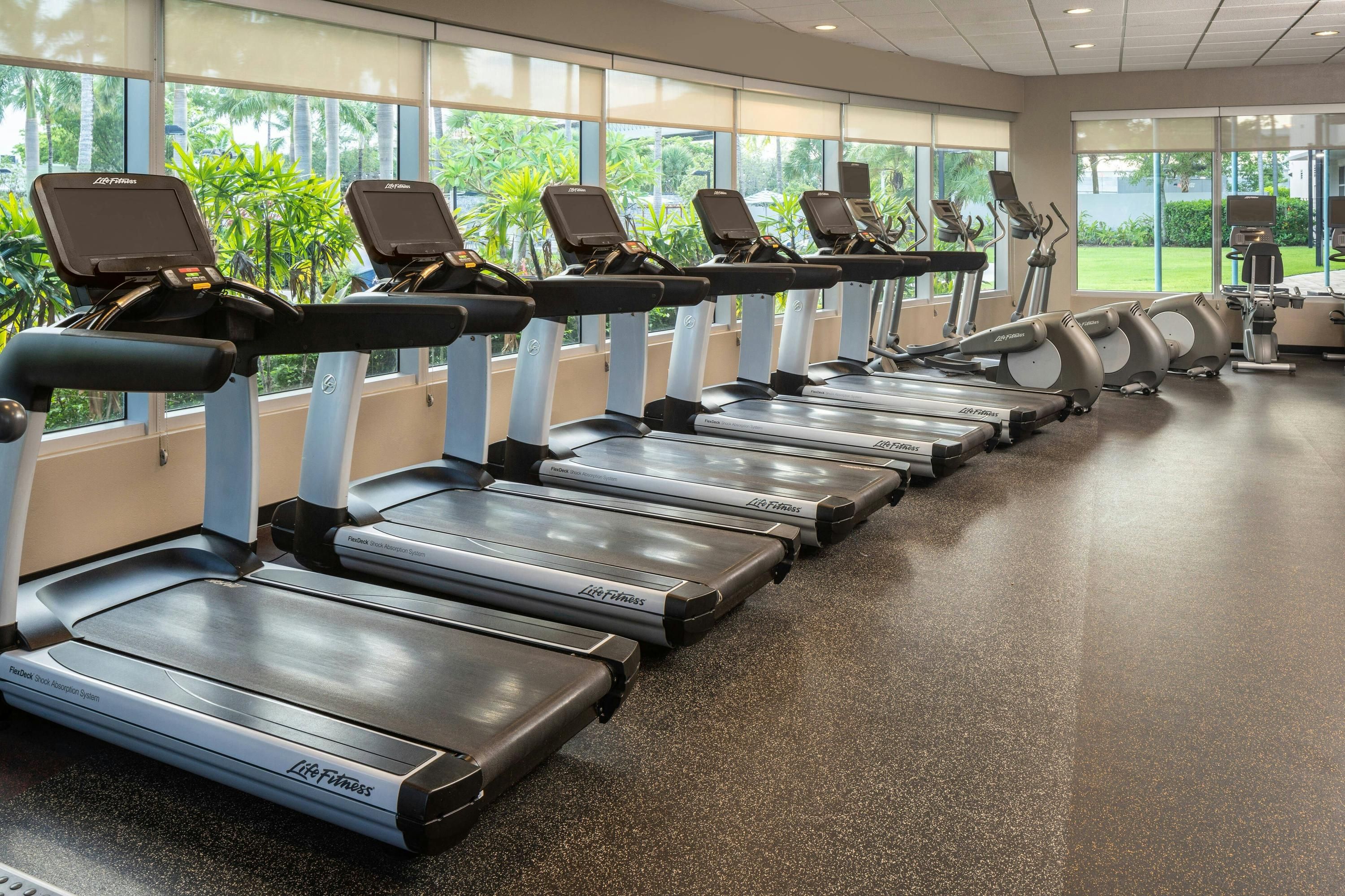 Gimnasio