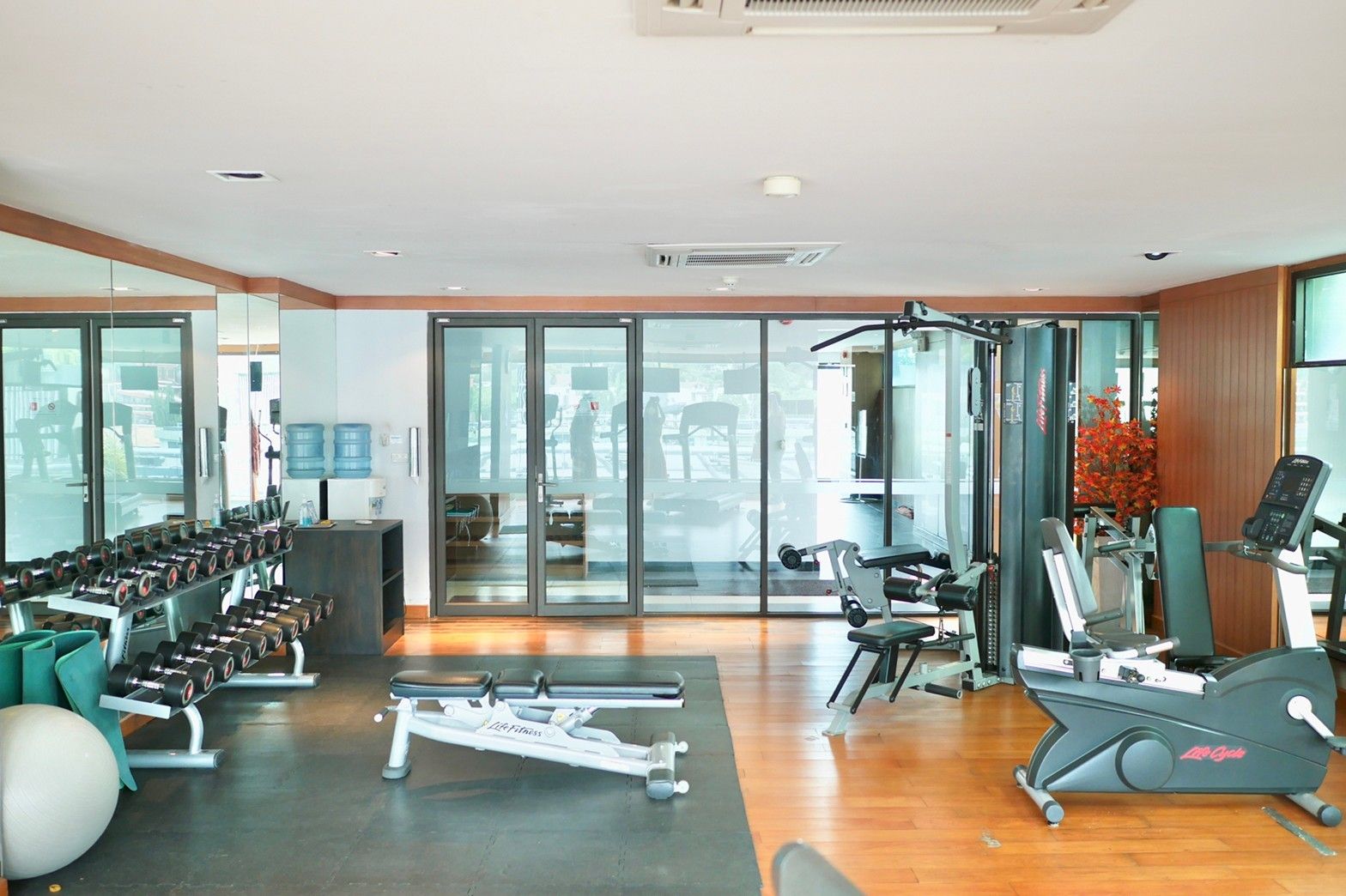 Gimnasio