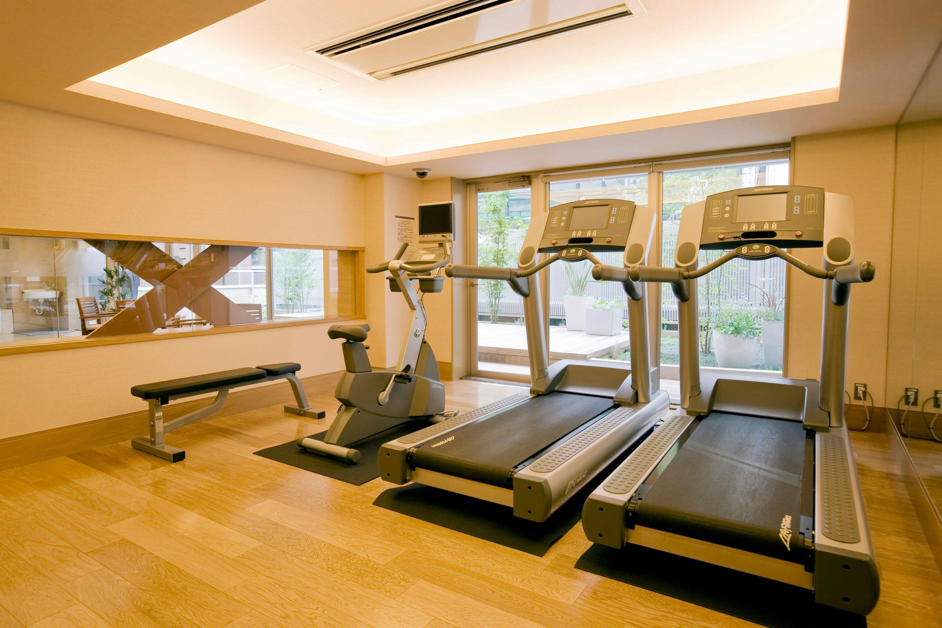 Gimnasio