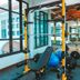 Gimnasio