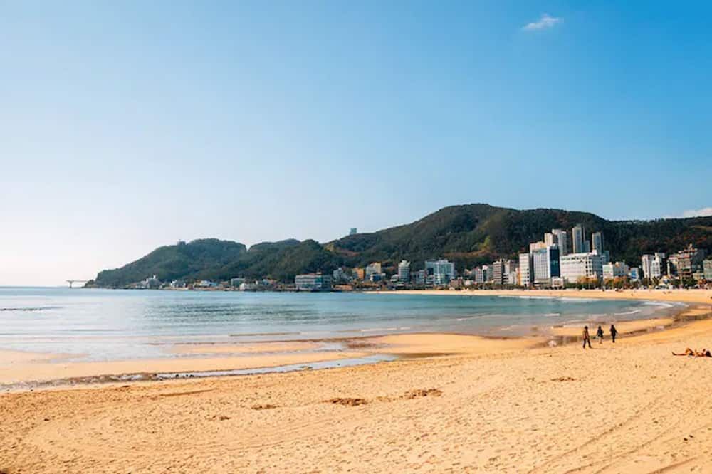 Playa