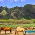 Otro