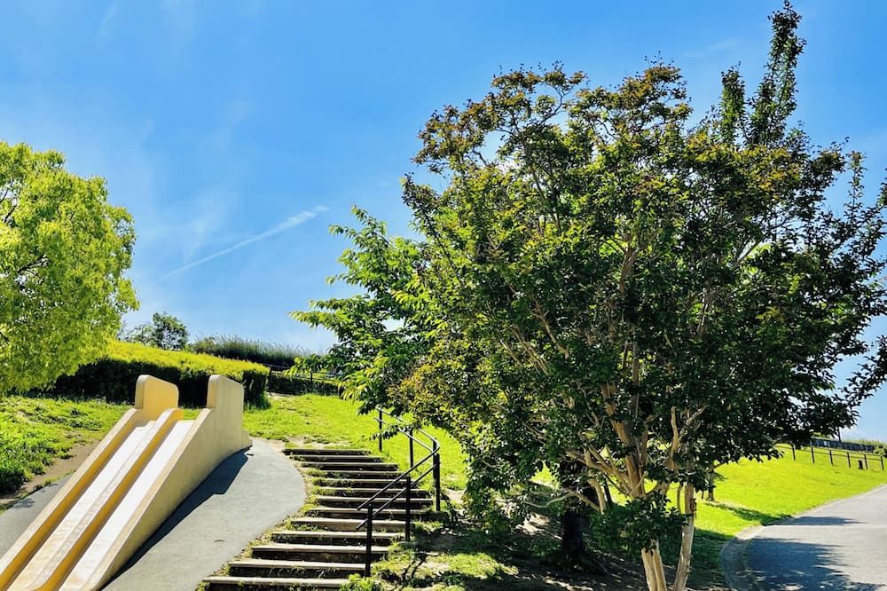 Vista del exterior
