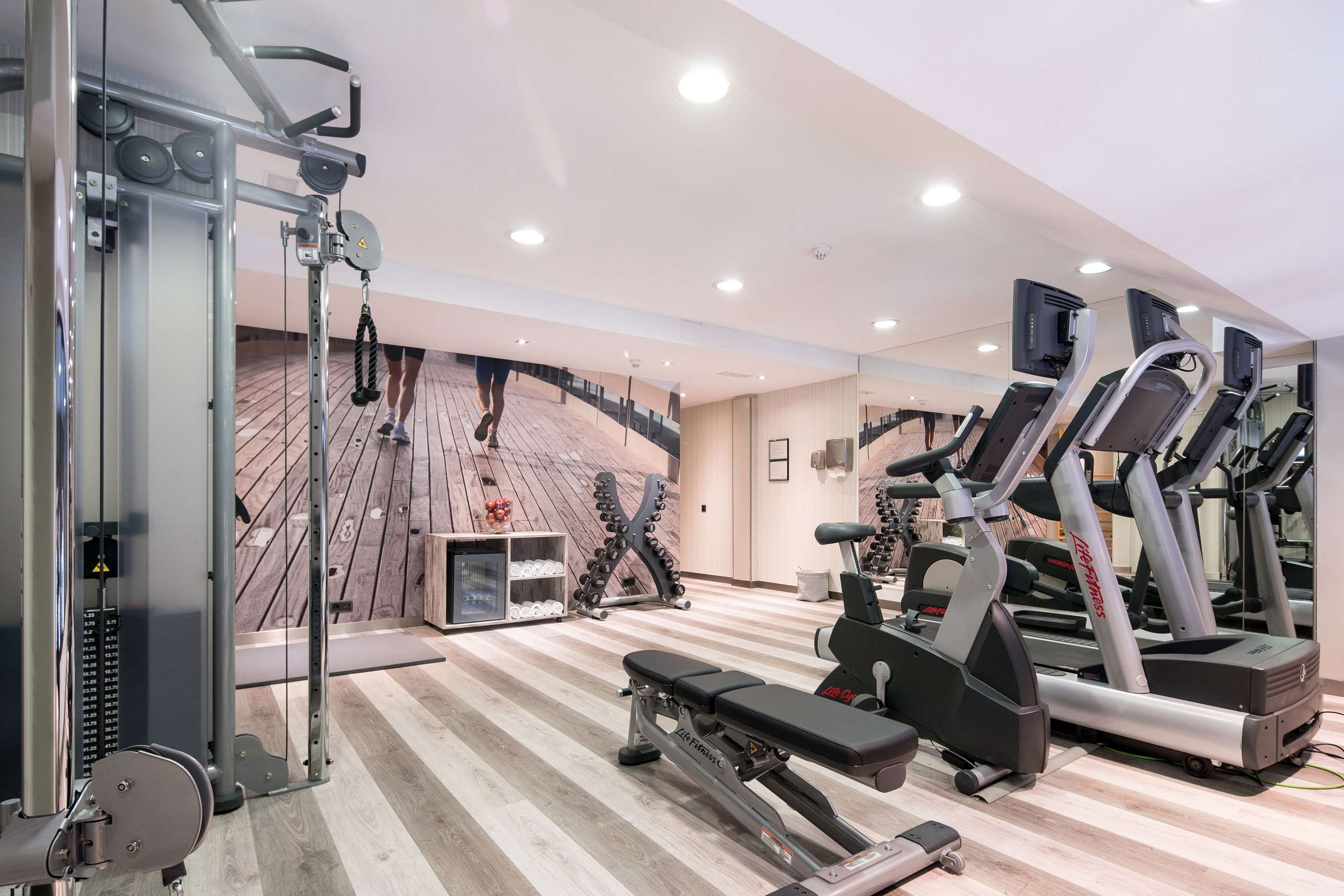 Gimnasio