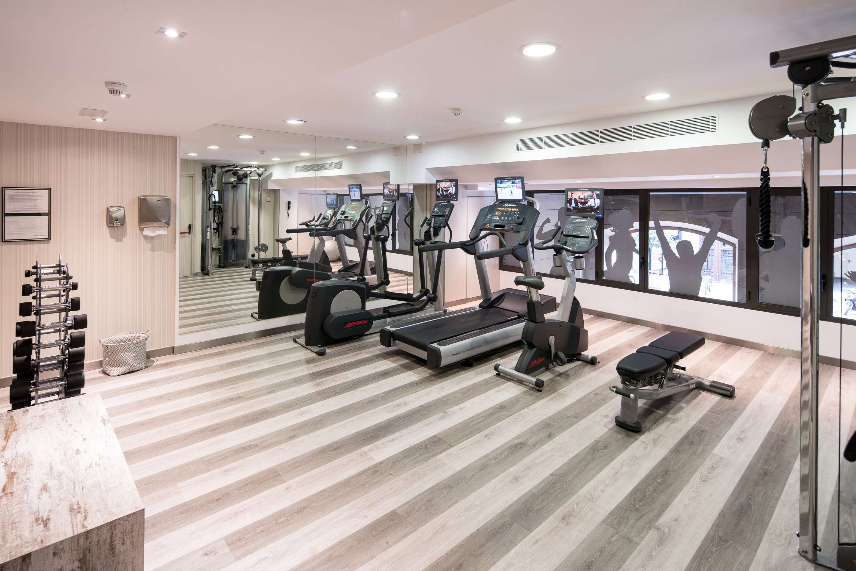 Gimnasio
