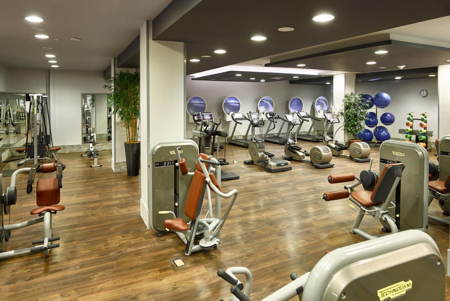 Gimnasio