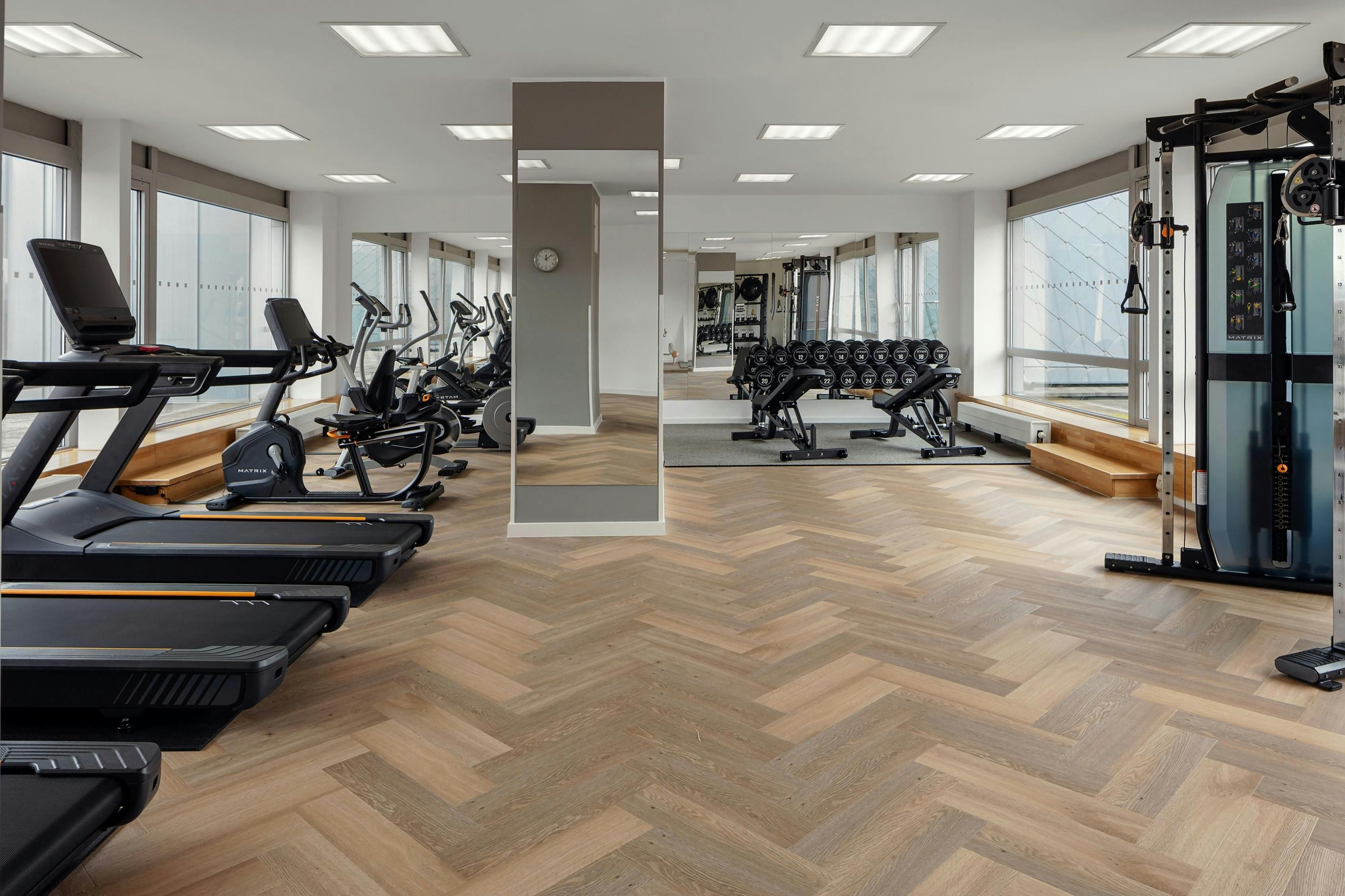 Gimnasio