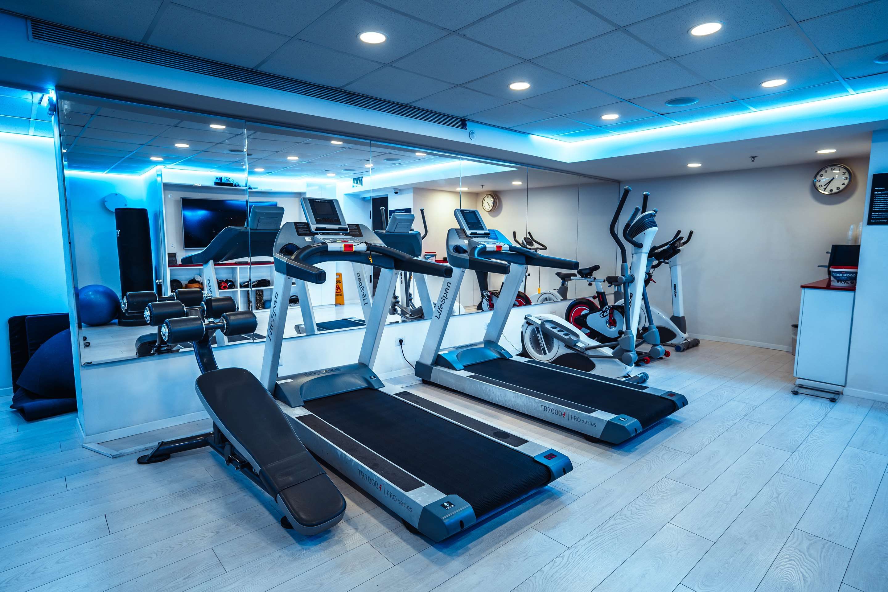 Gimnasio
