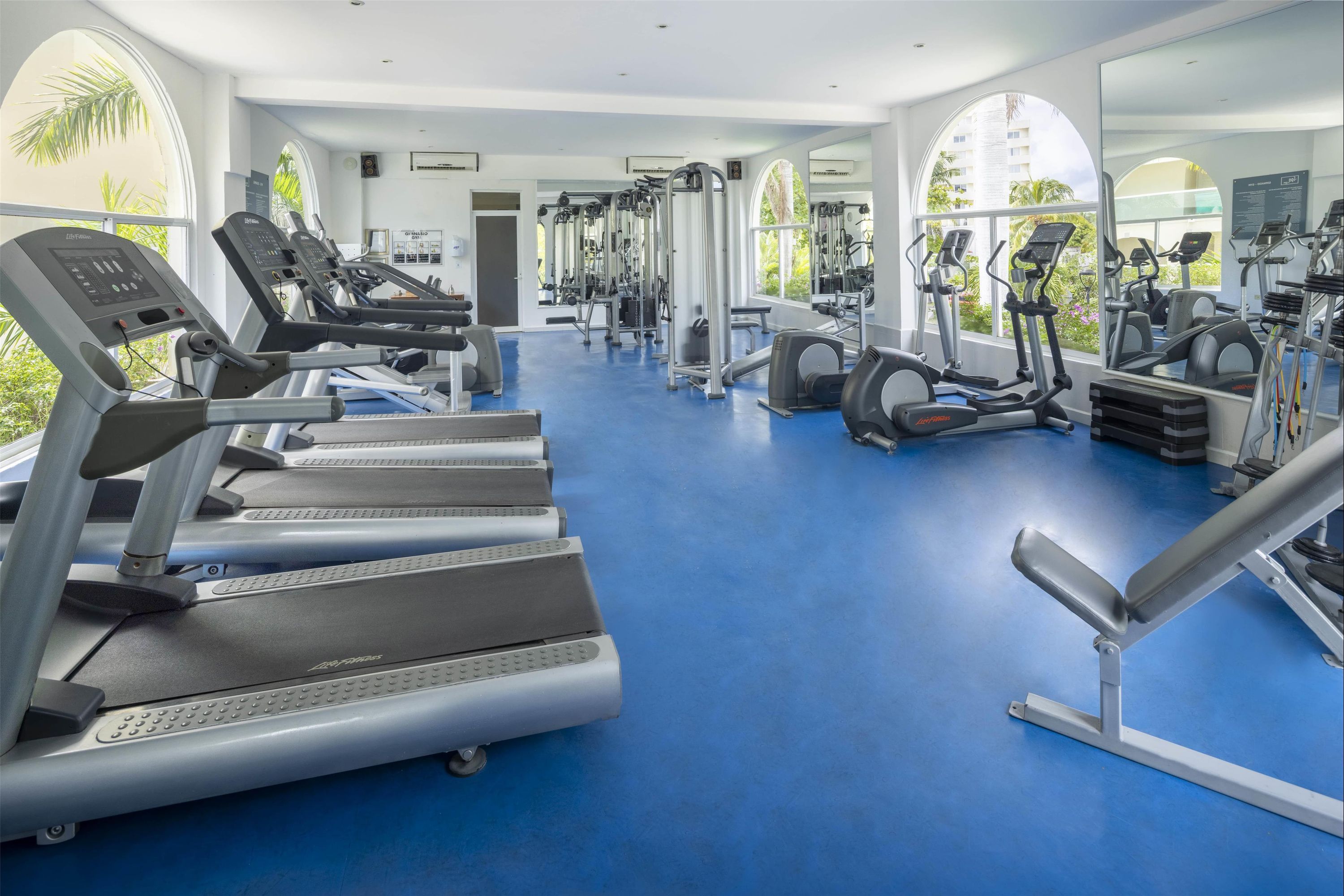 Gimnasio