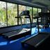 Gimnasio