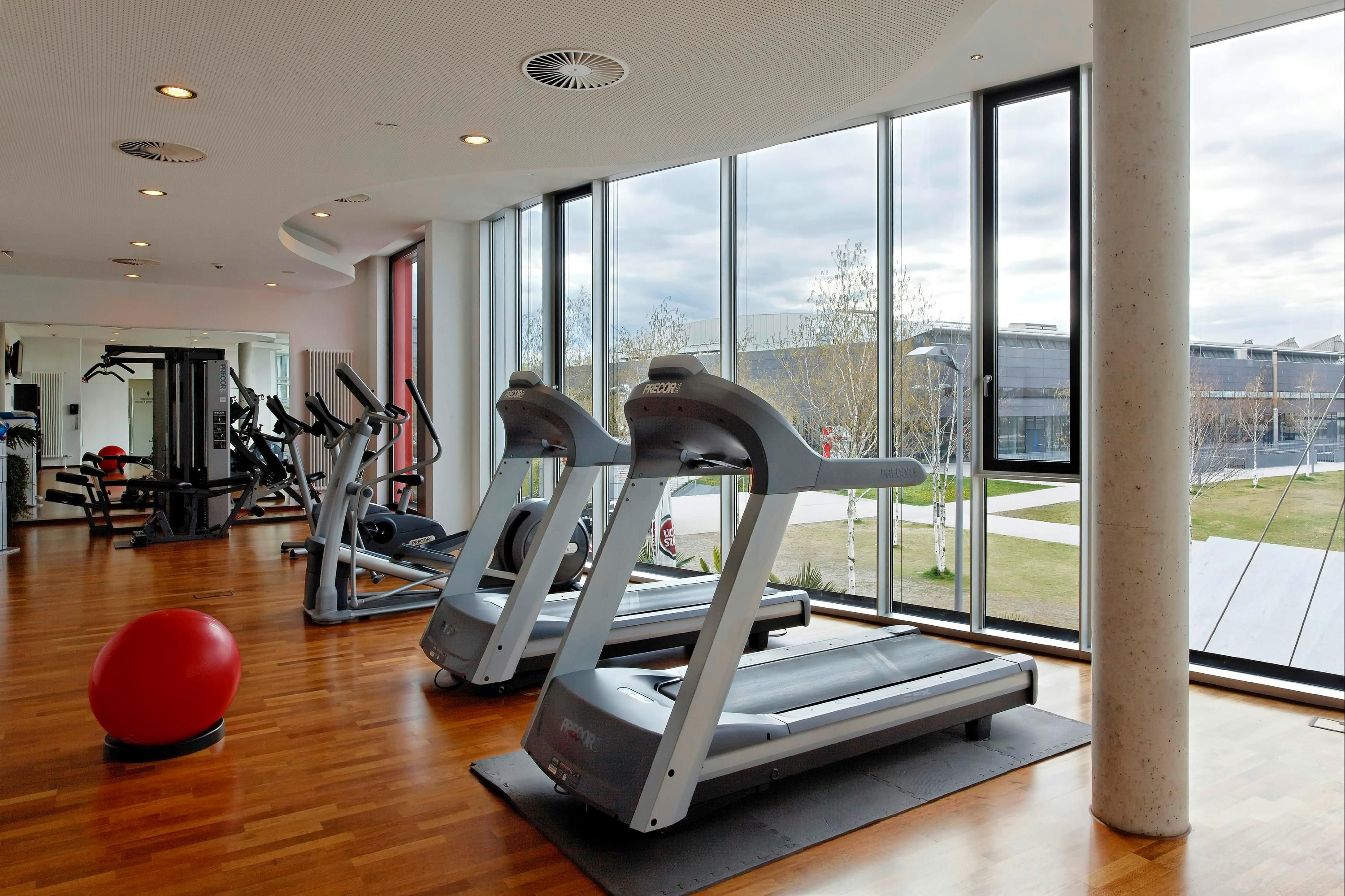 Gimnasio