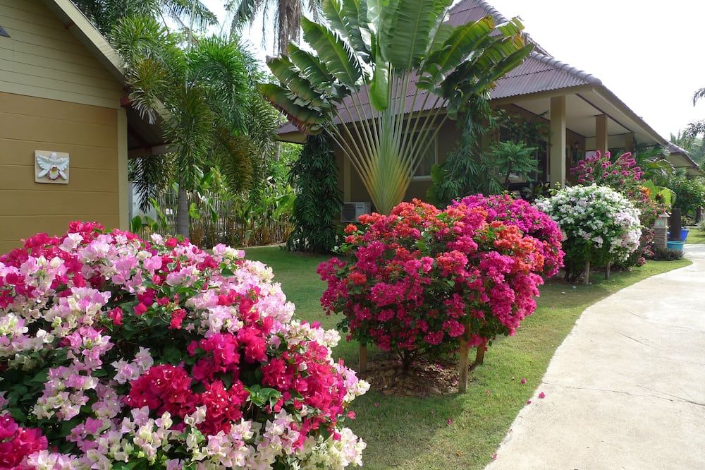 Vista del exterior