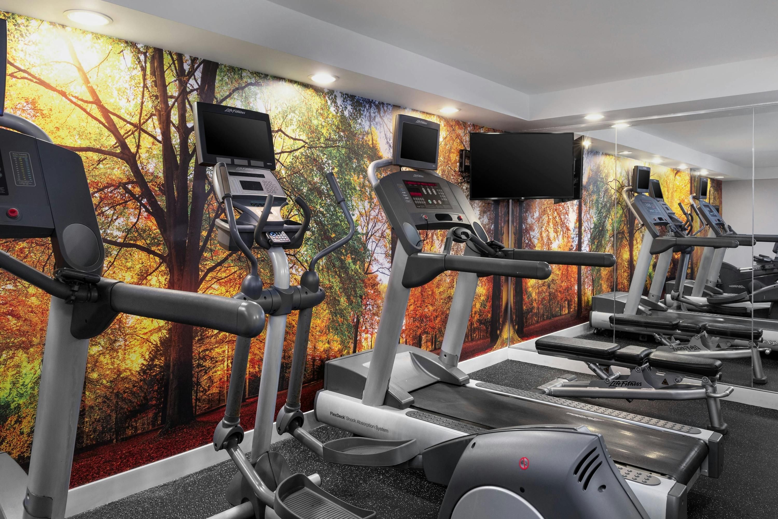 Gimnasio