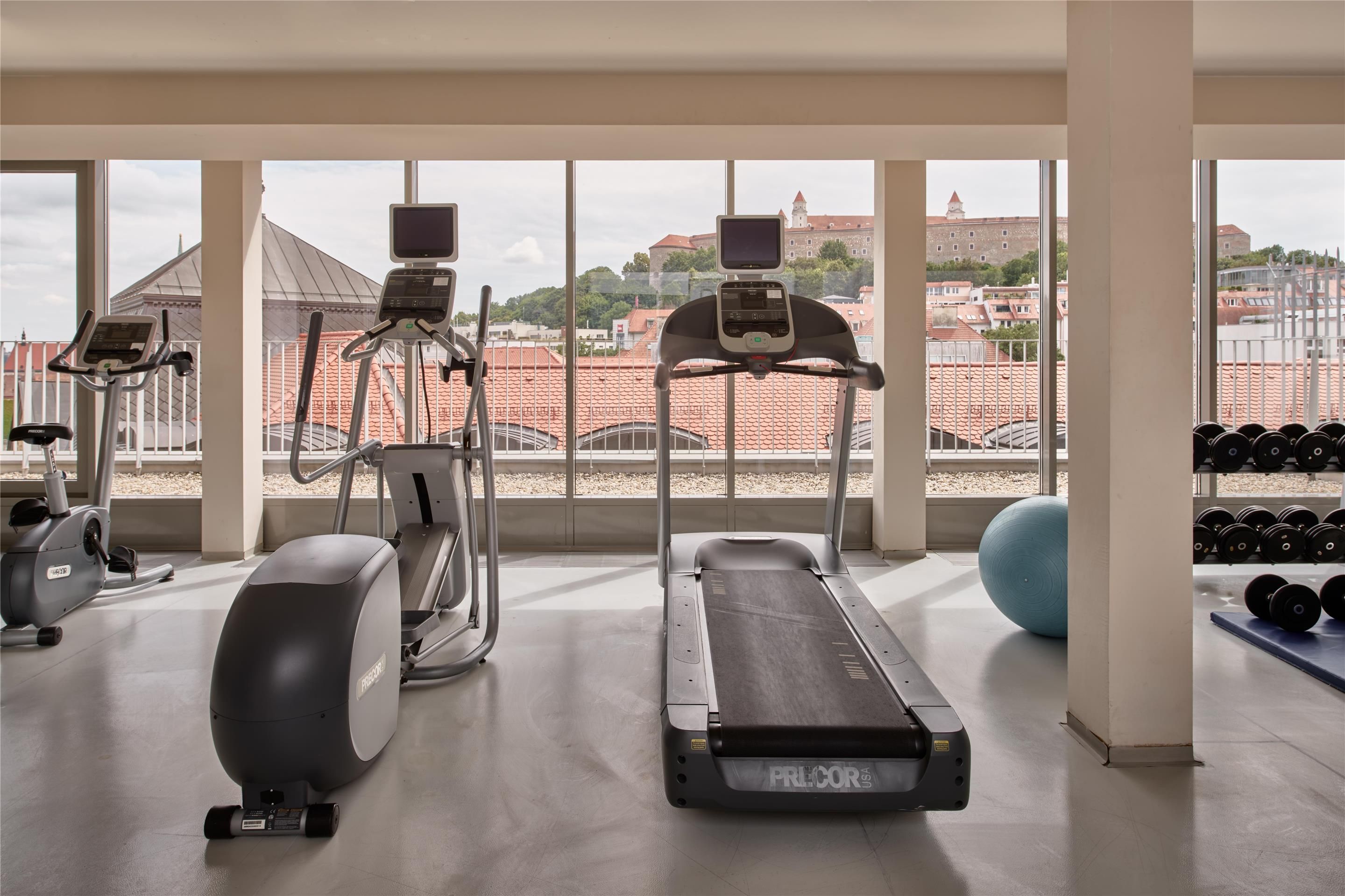 Gimnasio