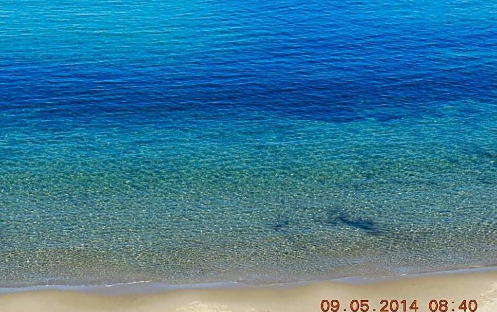 Playa Foto