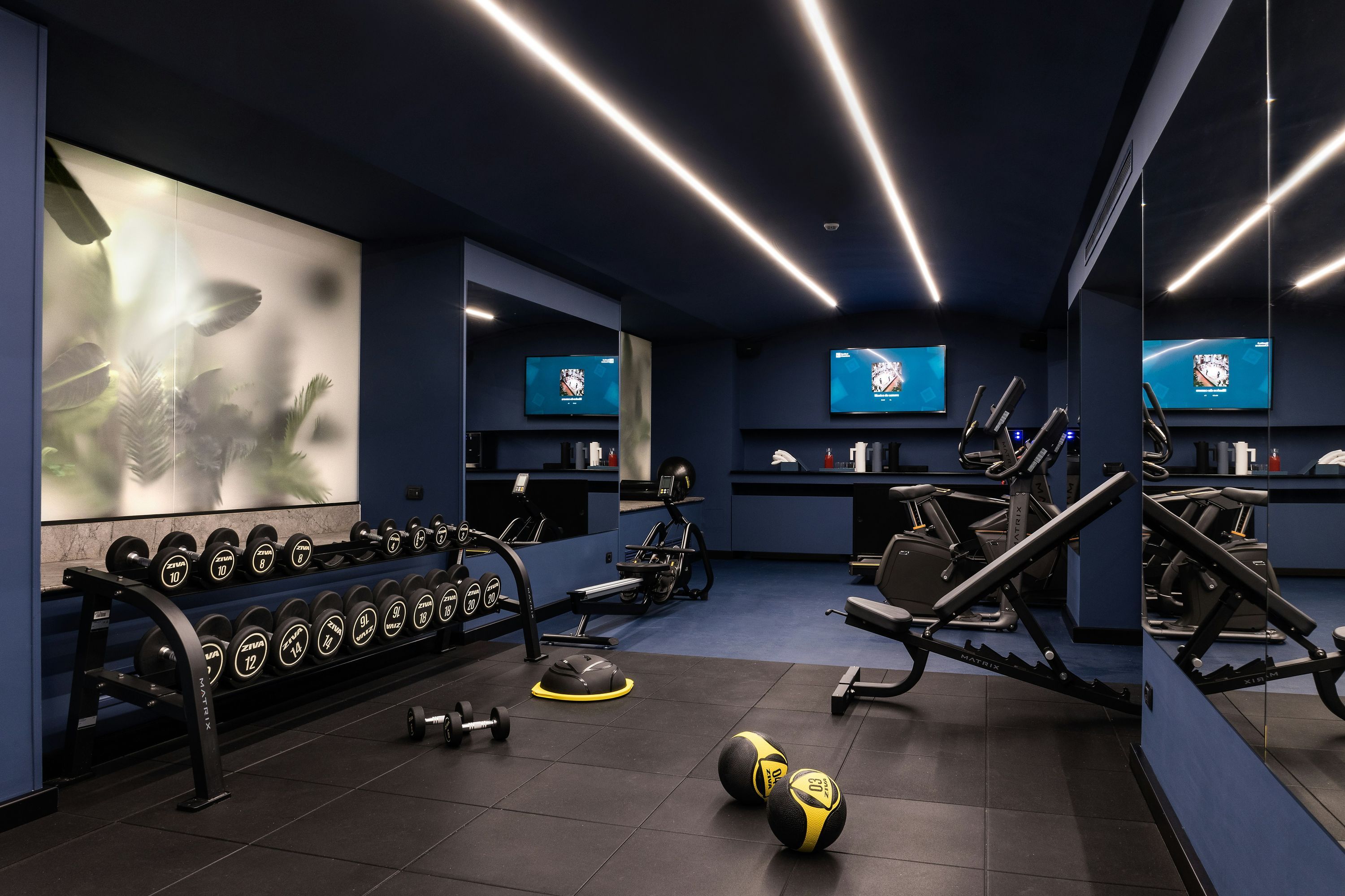 Gimnasio