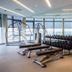 Gimnasio