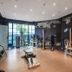 Gimnasio