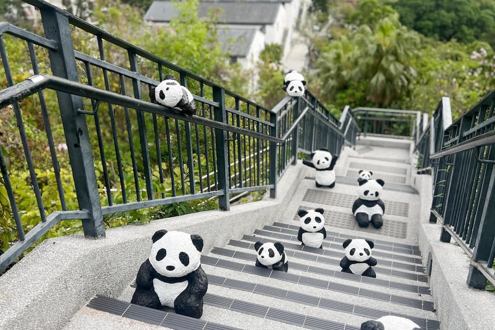 Escaleras Foto