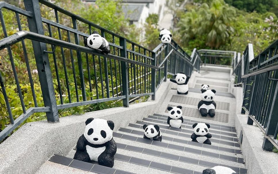 Escaleras Foto