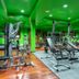 Gimnasio