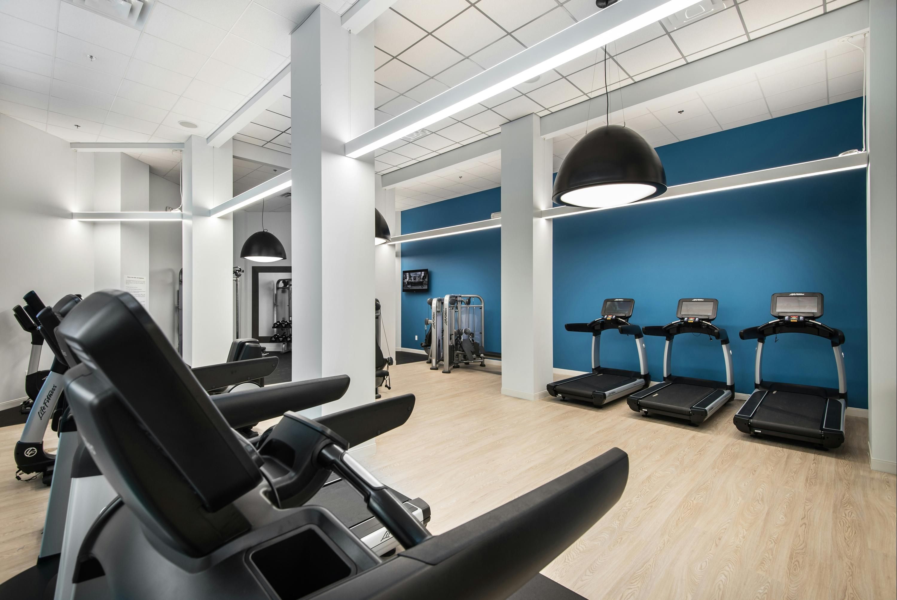 Gimnasio