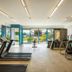 Gimnasio