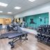 Gimnasio