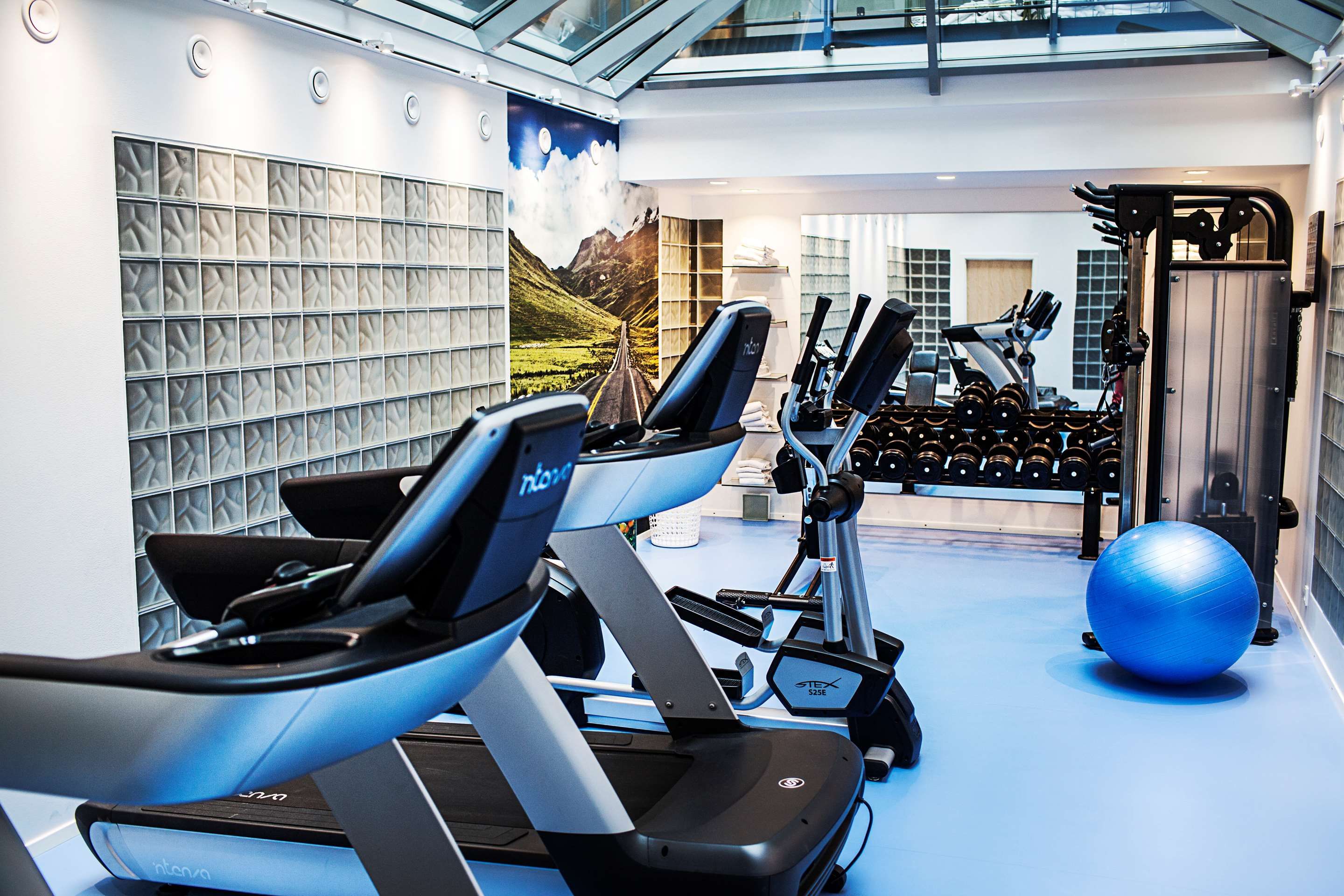 Gimnasio